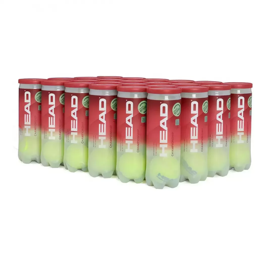 HEAD Championship 3шт - Коробка 72 мяча 575203