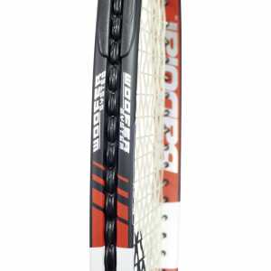 Babolat Pure Control 101200