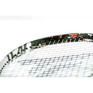 Tecnifibre TF-40 290 V3 14TF449062