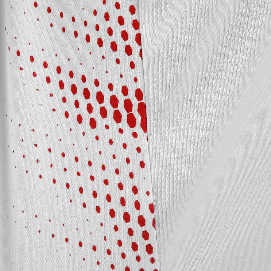 Мужское поло Babolat Perf 2019 2MS19021 Мужское поло Babolat Perf 2019 2MS19021